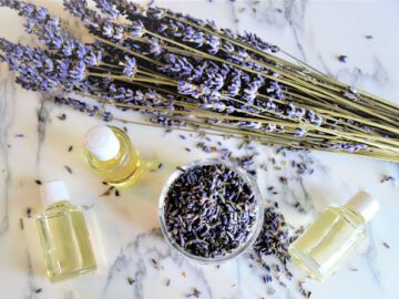 The Science Behind Aromatherapy